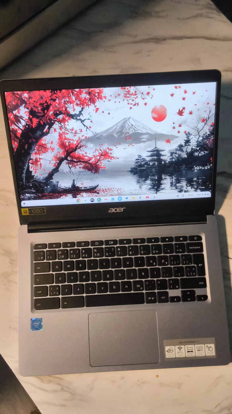 Acer Chromebook 314 14-inch Touchscreen