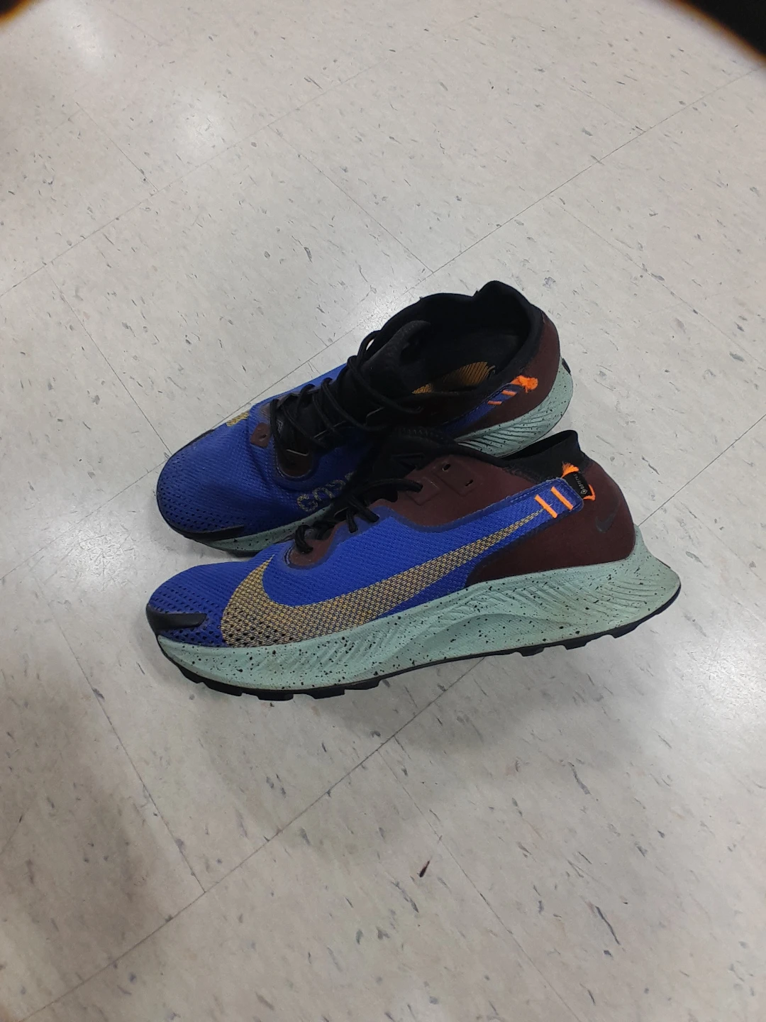 Nike Pegasus Trail 2 Gore-Tex Running Shoes Men's Size 14