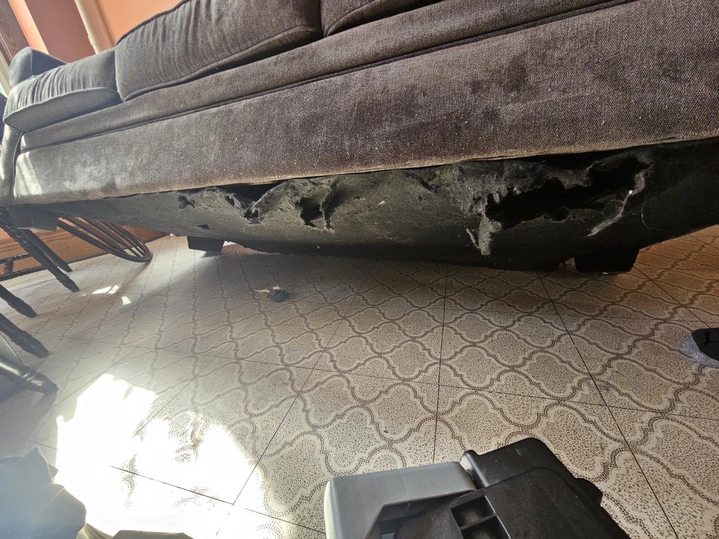 FREE COUCH - photo 2