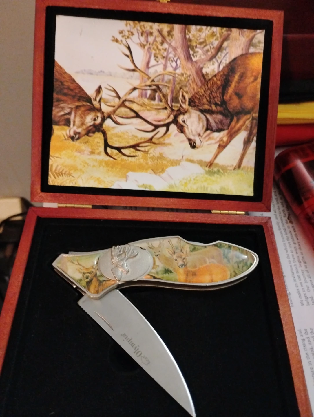 Olympia Deer Themed Pocket Knife in Presentation Box