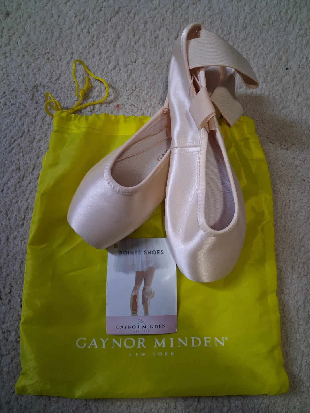 Gaynor Minden Pointe Shoes