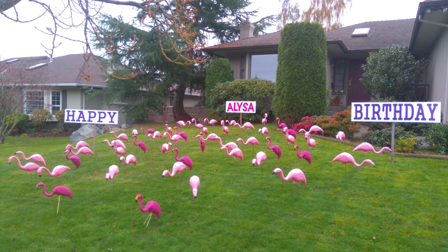 Wake Up To A Huge Pink Flamingo Flock Surprise