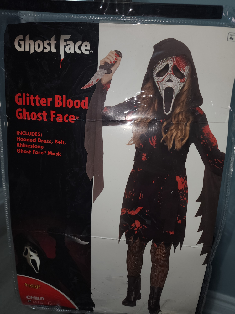 Spirit Halloween costume