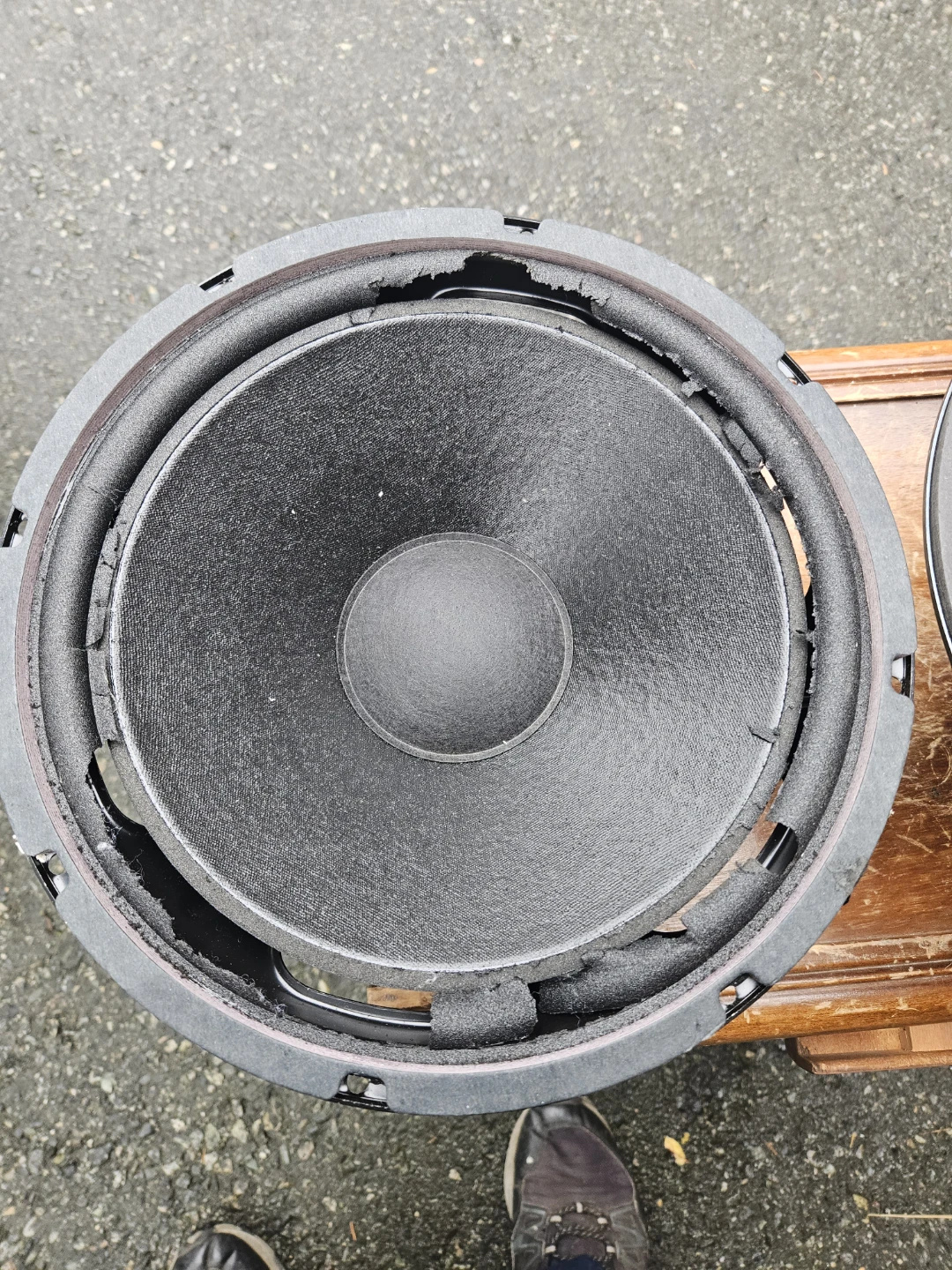 Pair of Replacement Speakers - photo 4