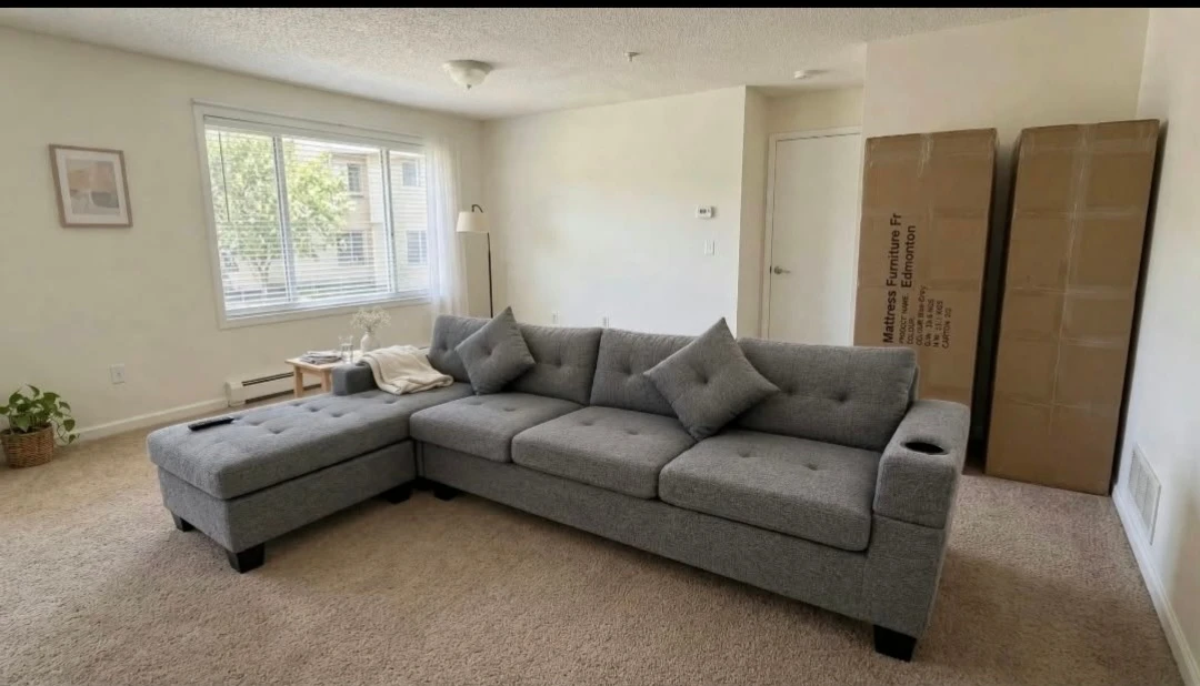 I have this brand new sectional sofa couch never used, got two