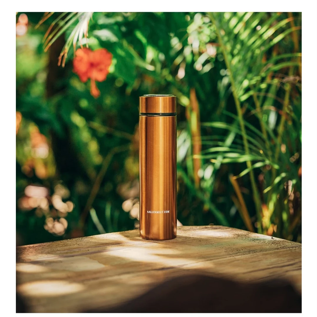 4ALLFAMILY Nomad Medium Insulin Pen Case - Gold