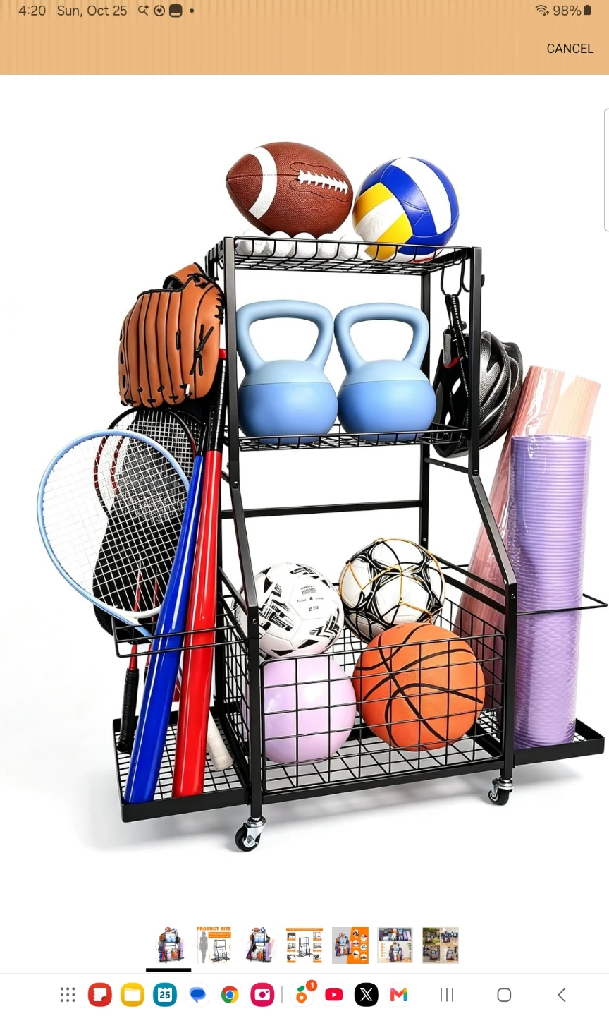 Garage Sports Equipment Organizer