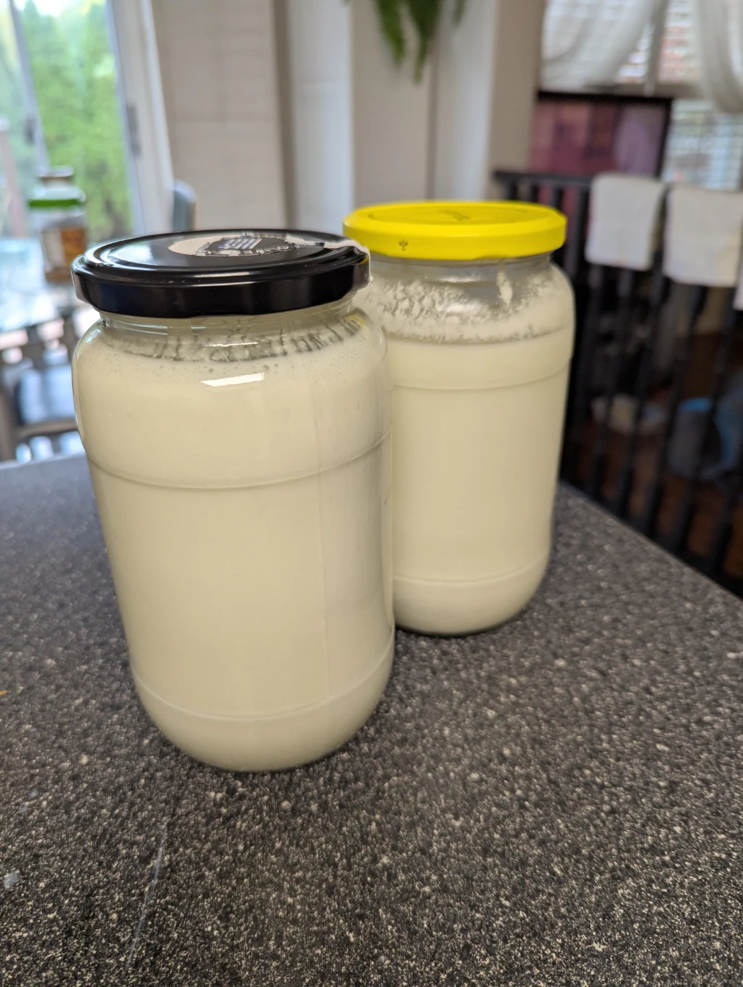 Kafir, Fresh Homemade Healthy Kafir