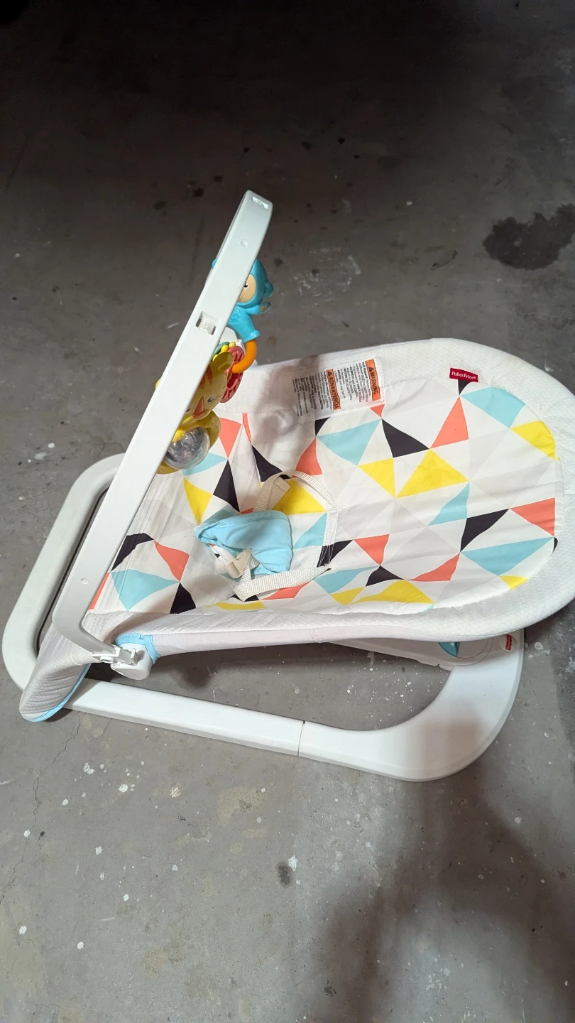 Fisher-Price Baby Bouncer - photo 5