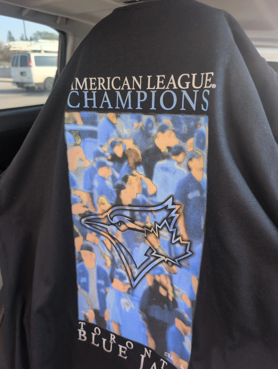 Toronto Blue Jays American League Champions T-Shirt