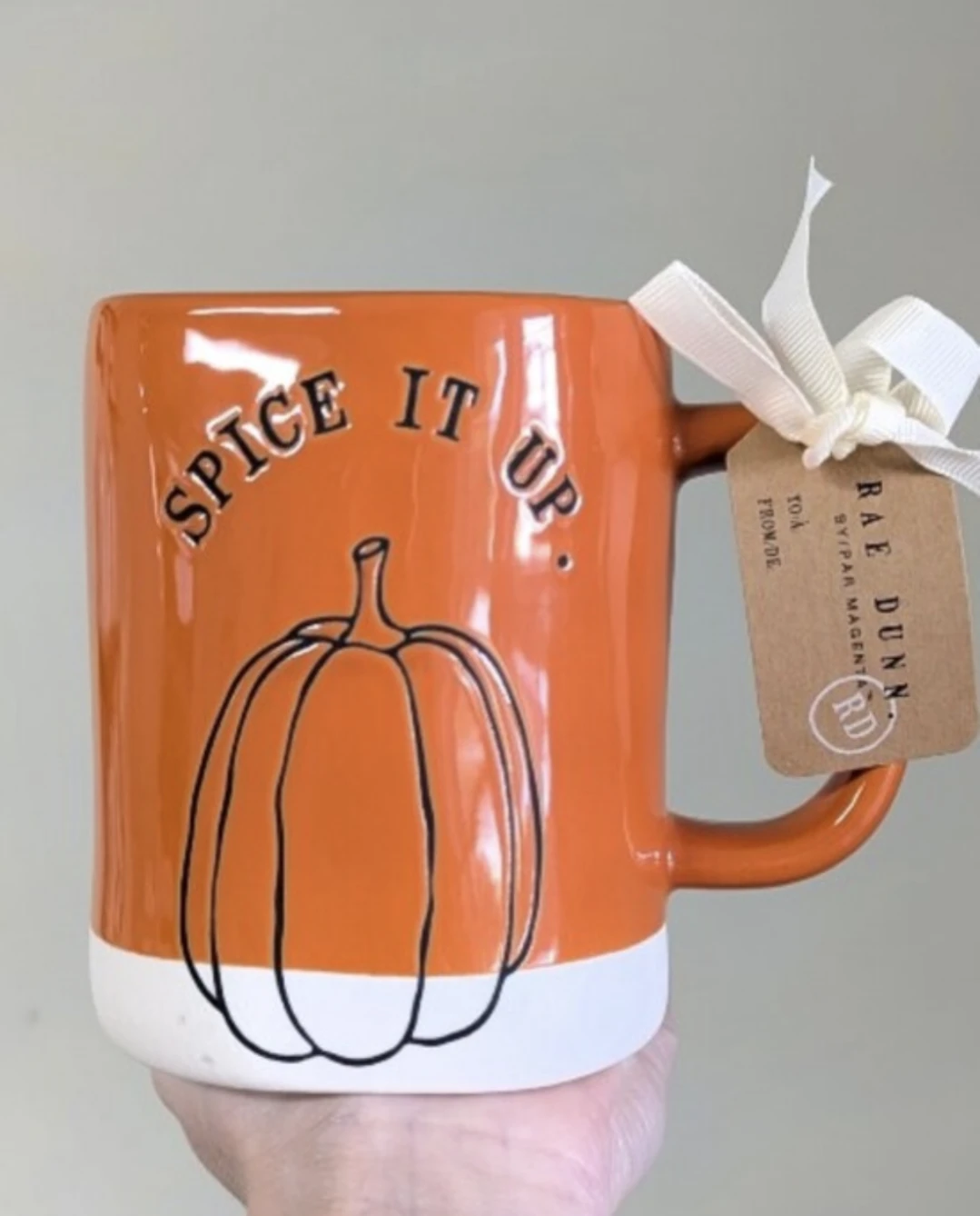 Rae Dunn Pumpkin Spice It Up Mug brand new