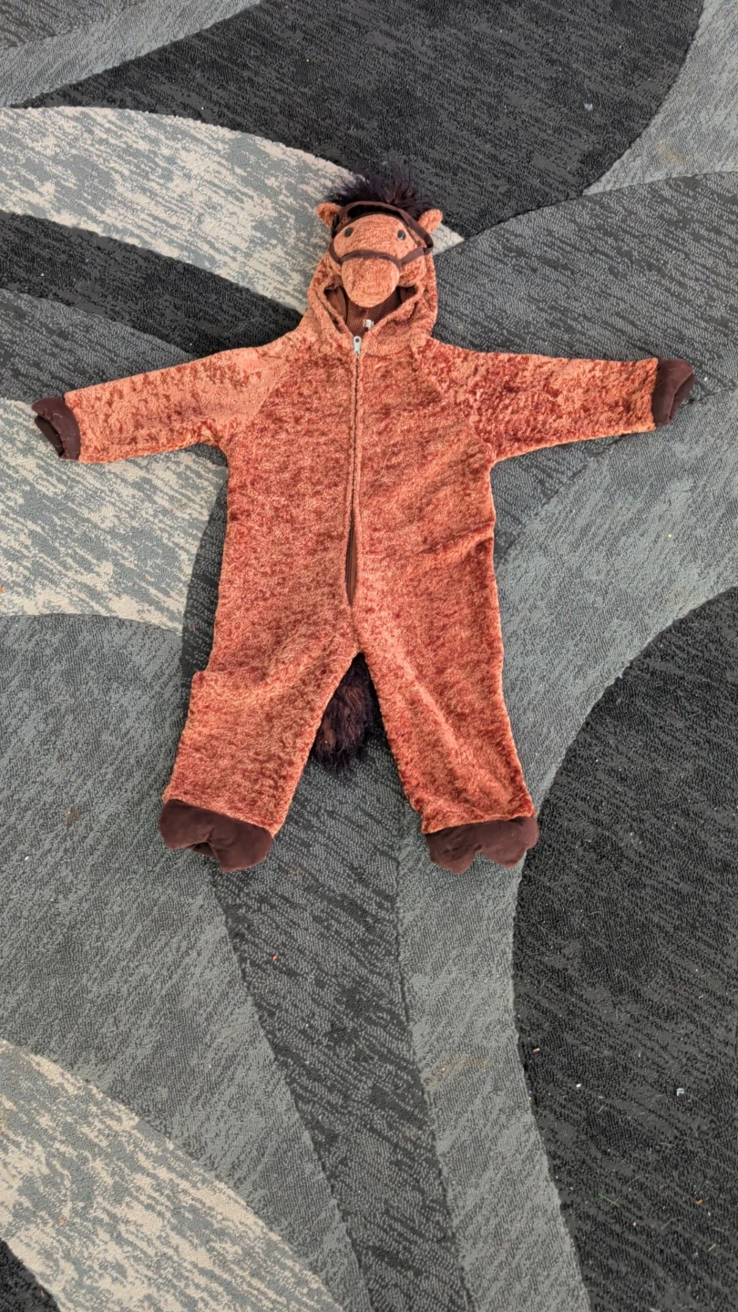 Set of 3 Children's Animal Costumes - photo 4