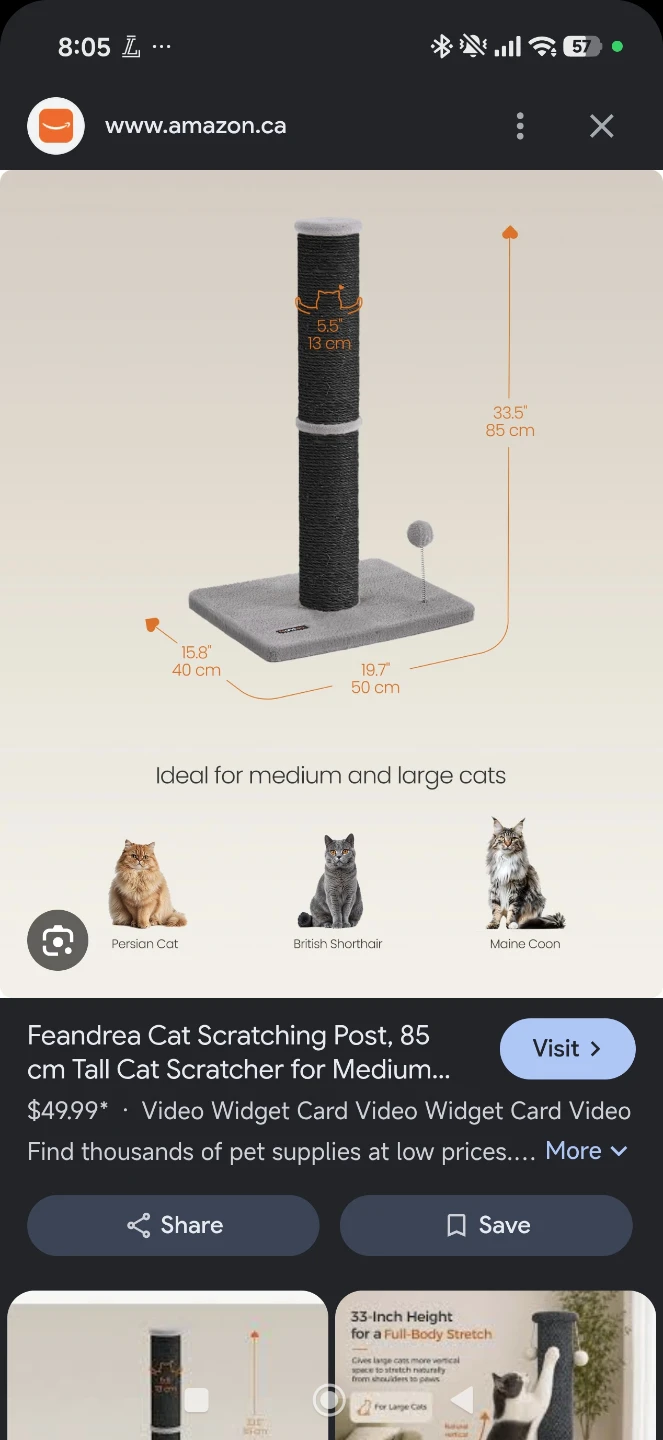 Feandrea Cat Scratching Post - photo 2