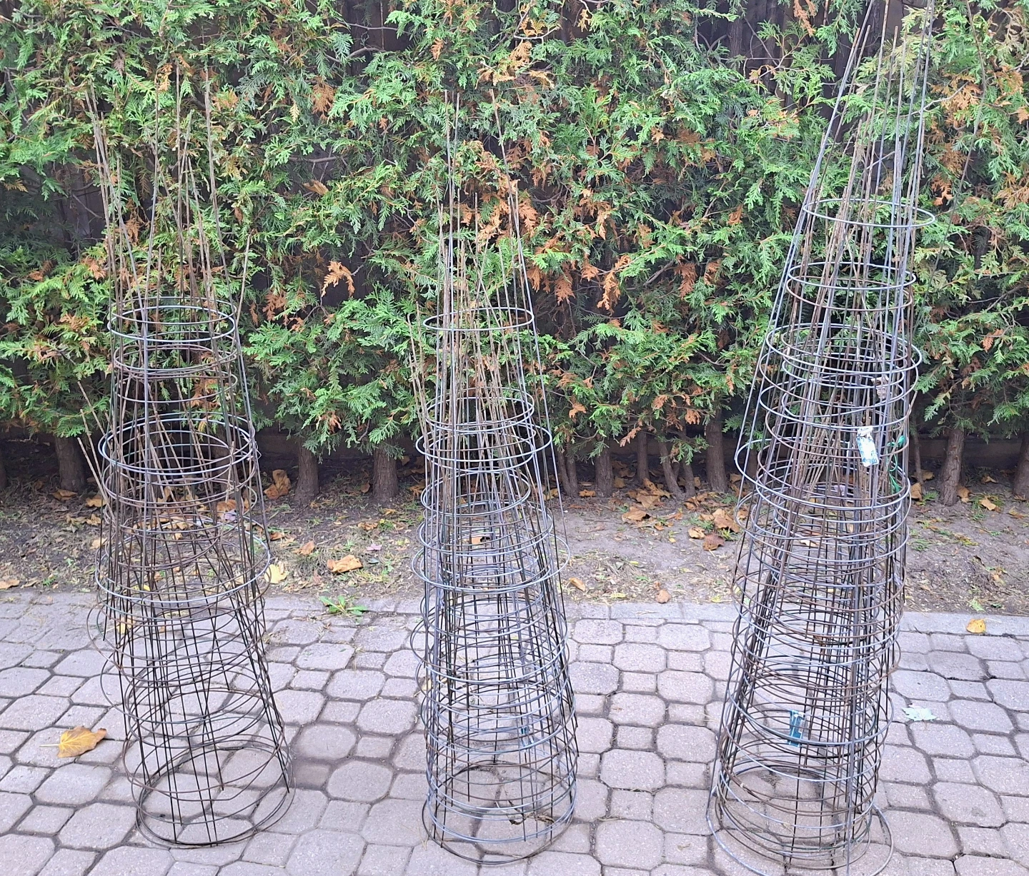 Set of Steel Tomato Cages