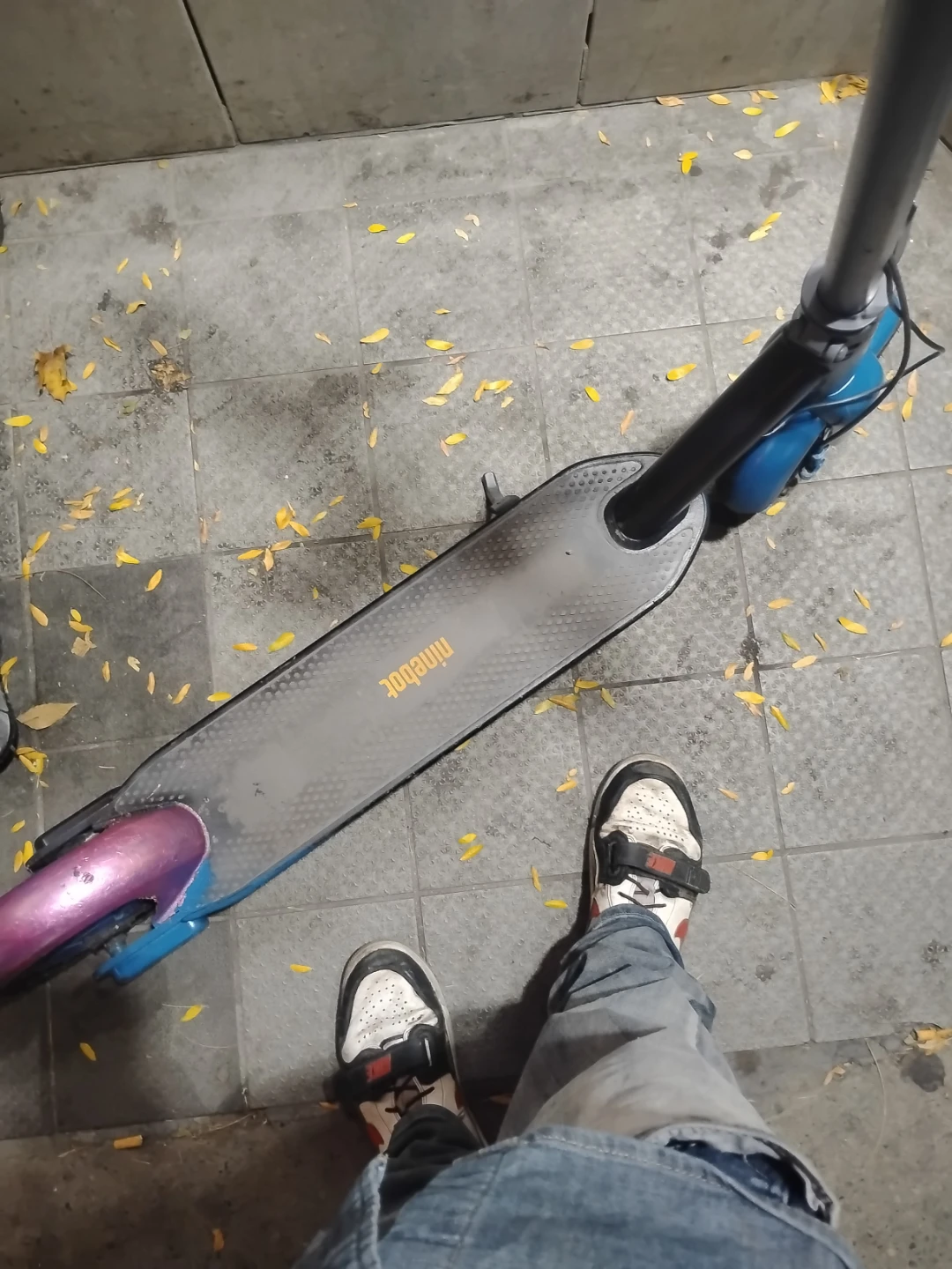 Ninebot Segway Electric Scooter it has a charger - photo 3