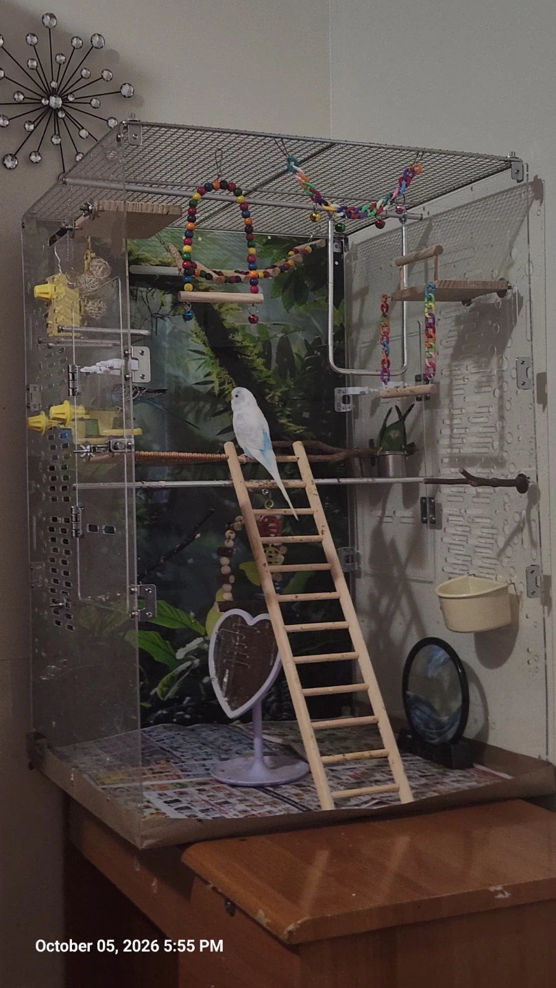 Clear Acrylic Bird Cage with Accessories