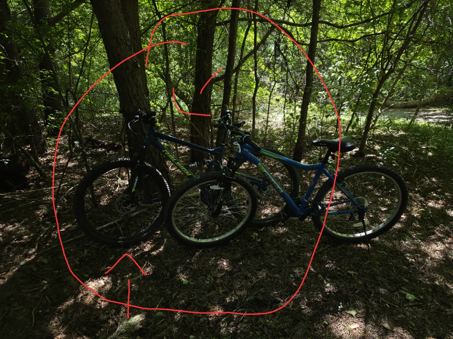 Raleigh Transfer Mountain Bike 27er