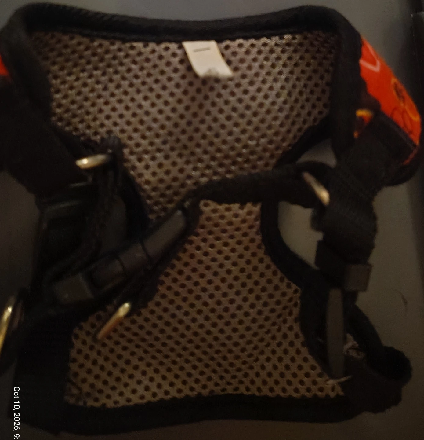 Small red pet harness with paw and heart pattern - photo 4