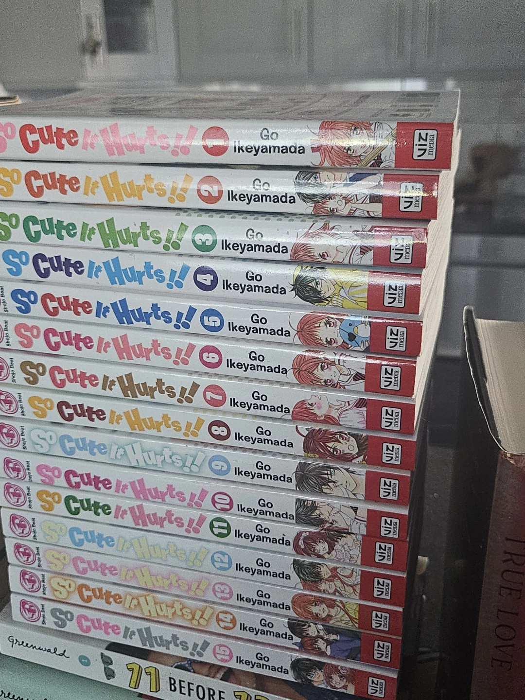 Large Collection of Teen Fiction and Manga Books