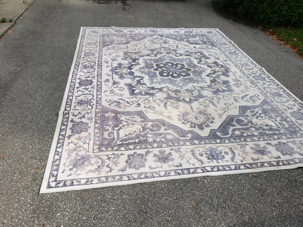 Large Blue and Cream Medallion Area Rug