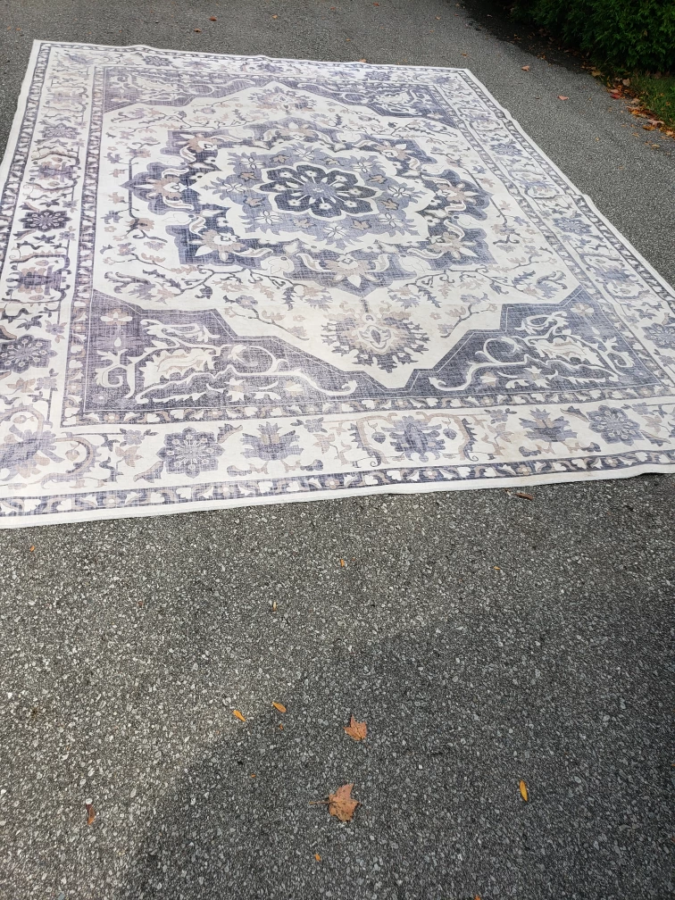 Large Blue and Cream Medallion Area Rug - photo 4