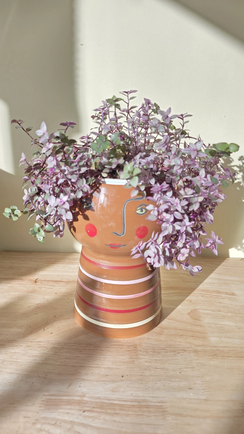 Cute pink panther plant in face pot