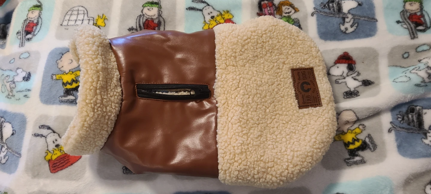 Dog clothes and accessories bundle - photo 4