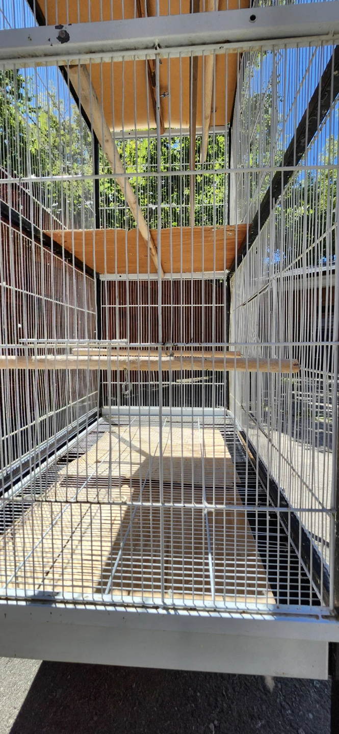 Flight cage for sale $150...can fit abt 10 years. - photo 2