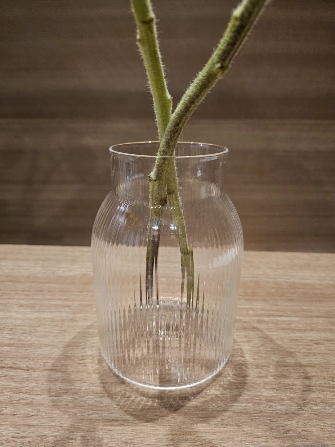 Clear Ribbed Glass Vase - photo 5