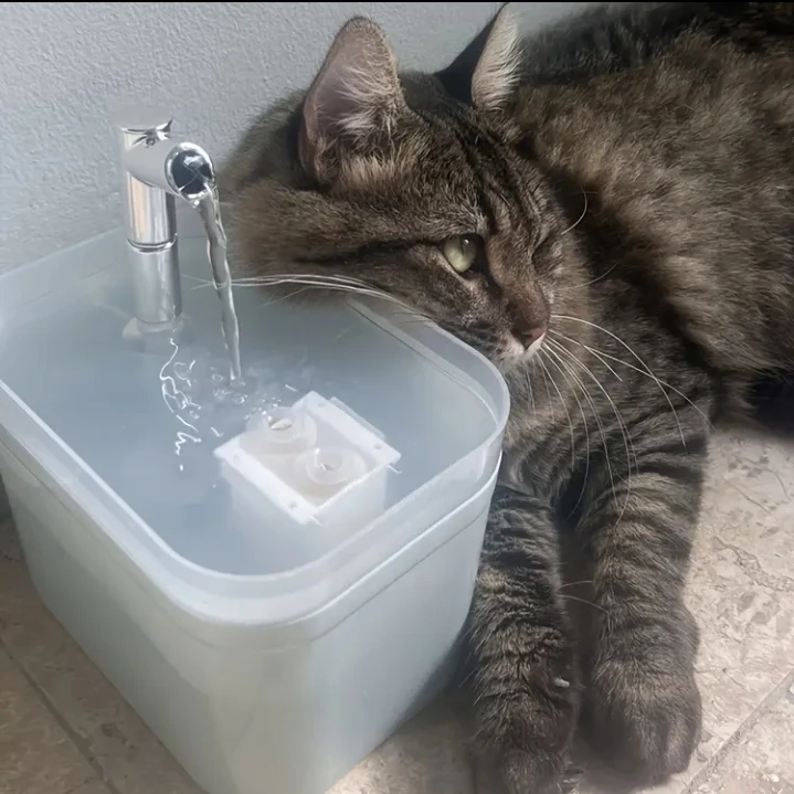 (BRAND NEW) 1.5L Capacity Pet Water Fountain - photo 4