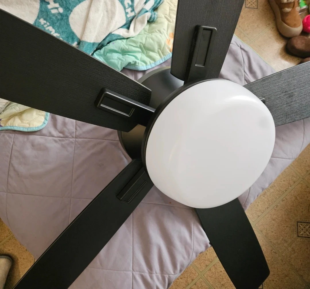 Modern Black Ceiling Fan with Light