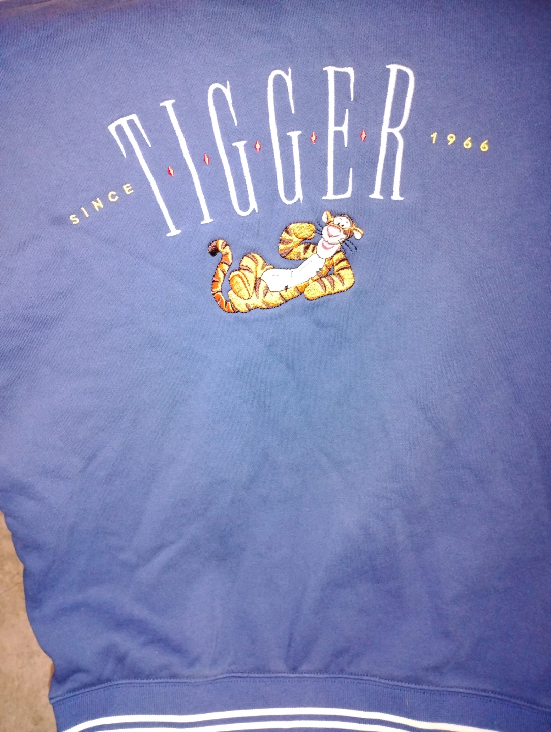 Disney Tigger Blue Sweatshirt