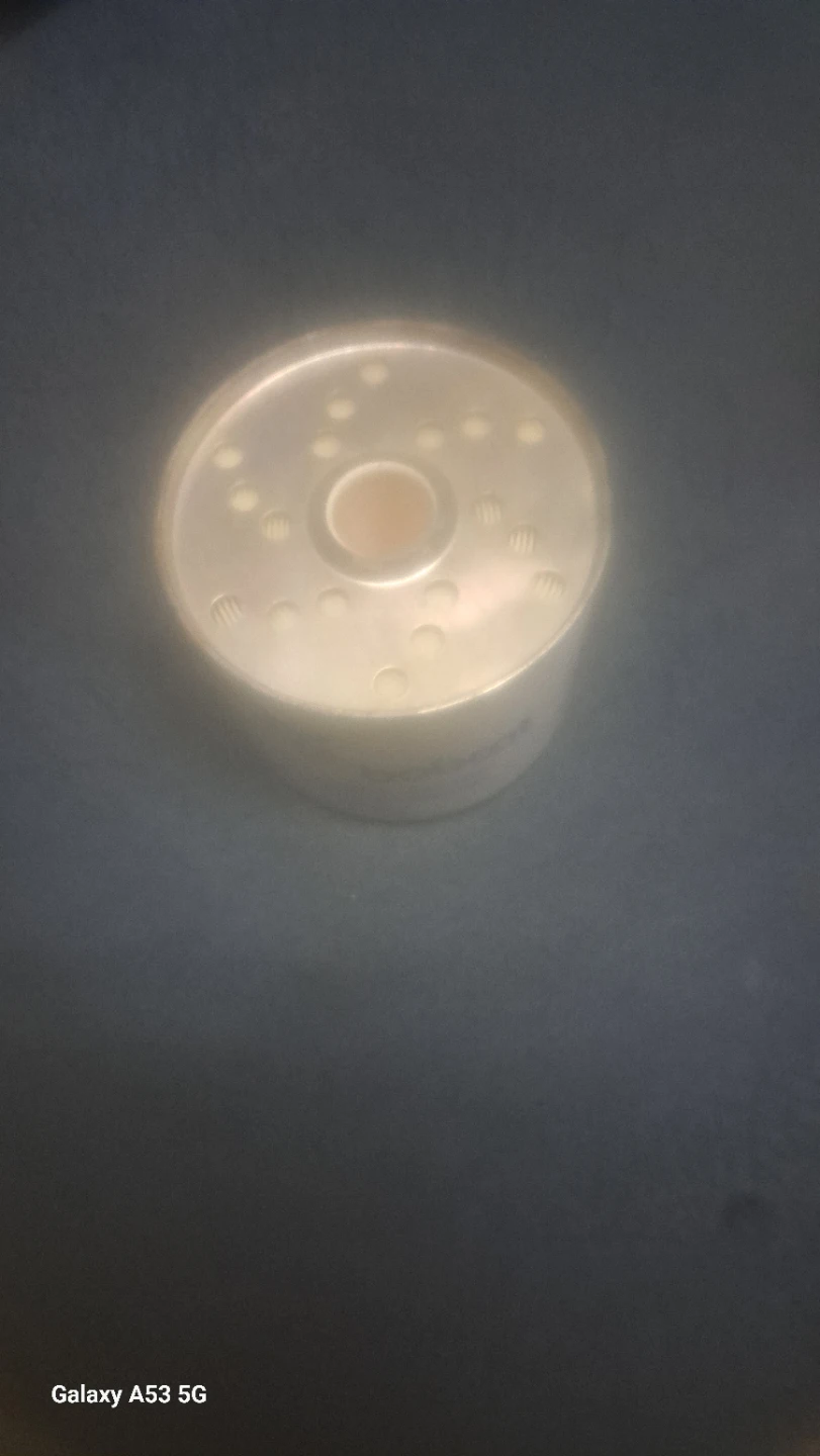 Bobcat Fuel Filter - photo 3