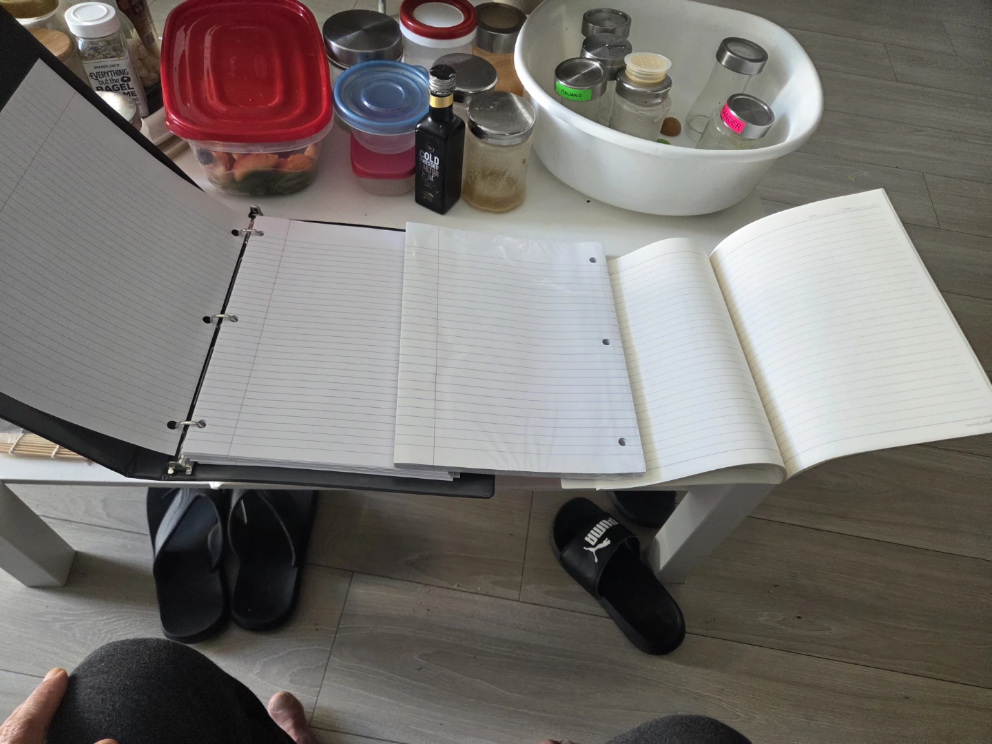 Pen+Gear Binder with Notebooks - photo 3