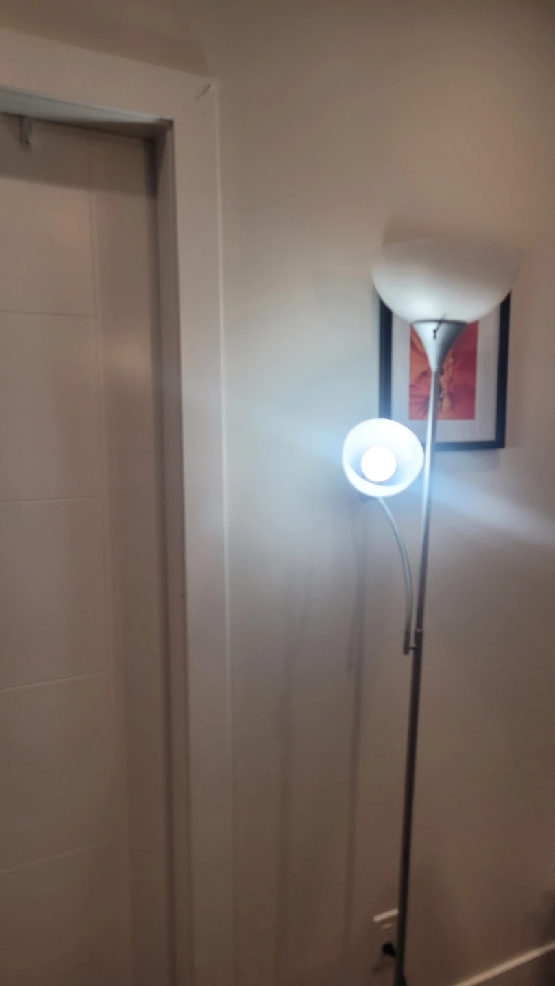 Floor Lamp with Adjustable Reading Light - photo 2