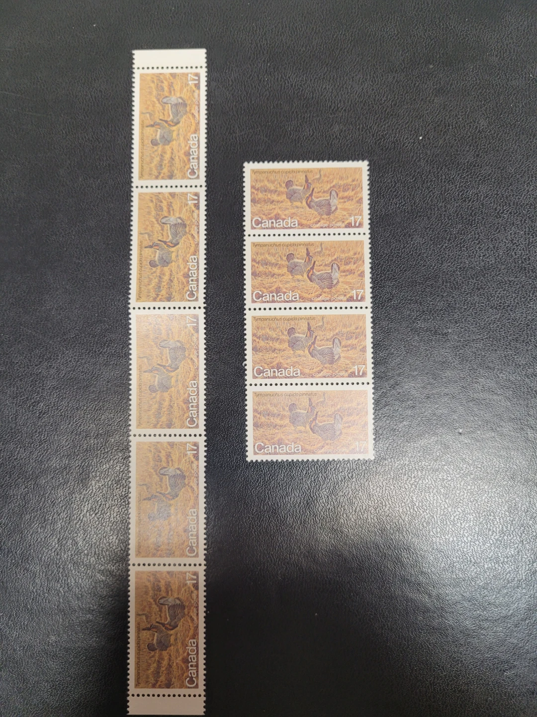 9 Vintage 17 Cent Canada Postage Stamps