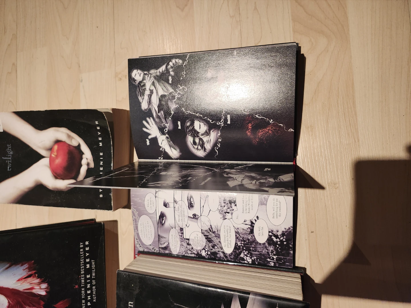 Stephenie Meyer Twilight Series Collection - photo 2