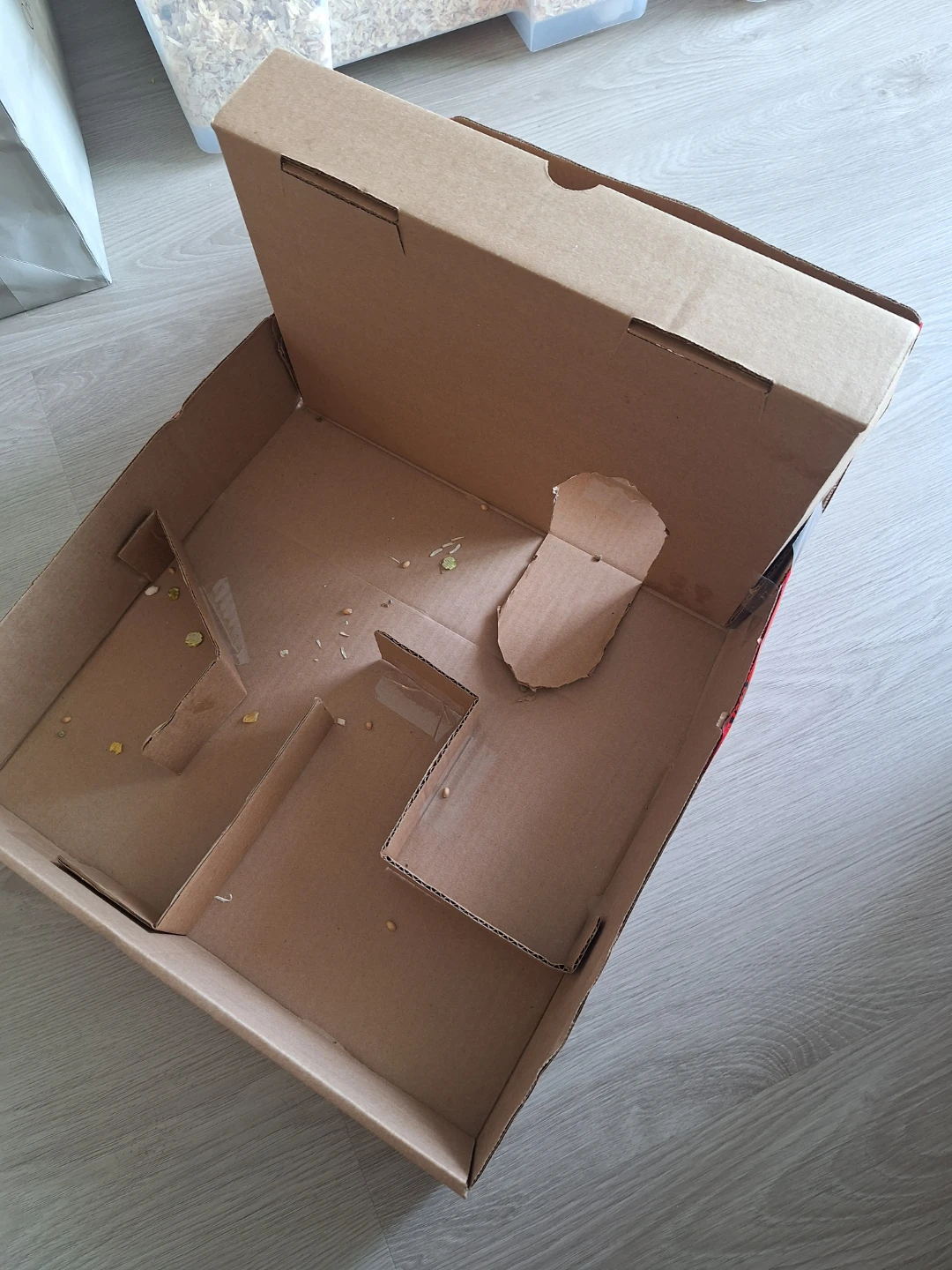 DIY Cardboard Maze for Small Pets