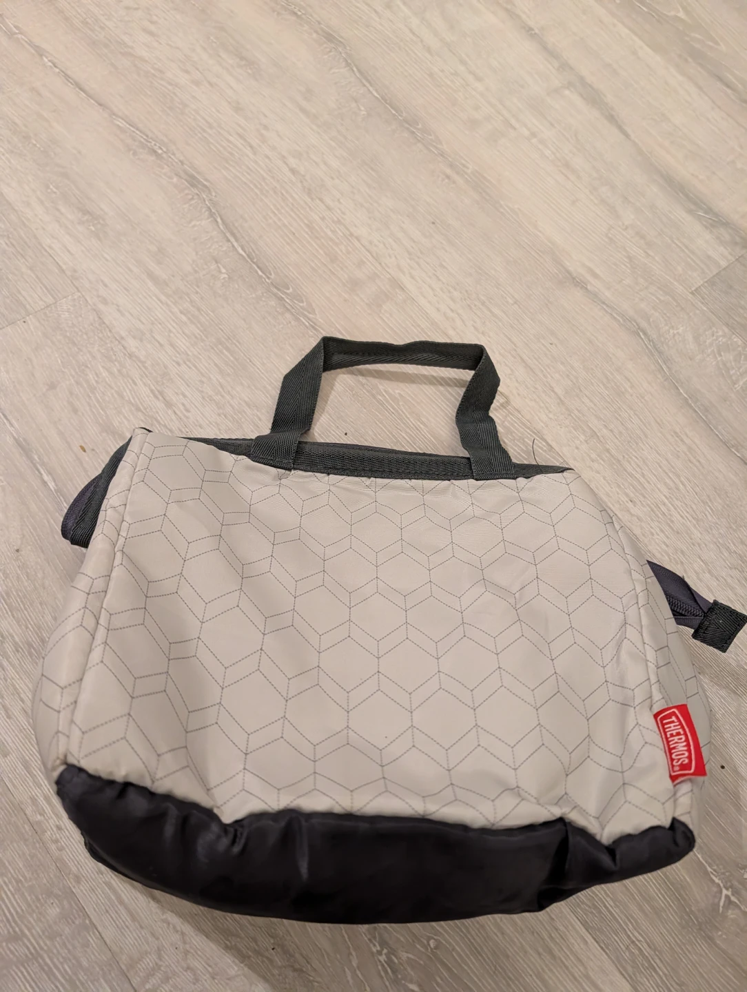 Arctic Zone and Thermos insulated lunch bags
