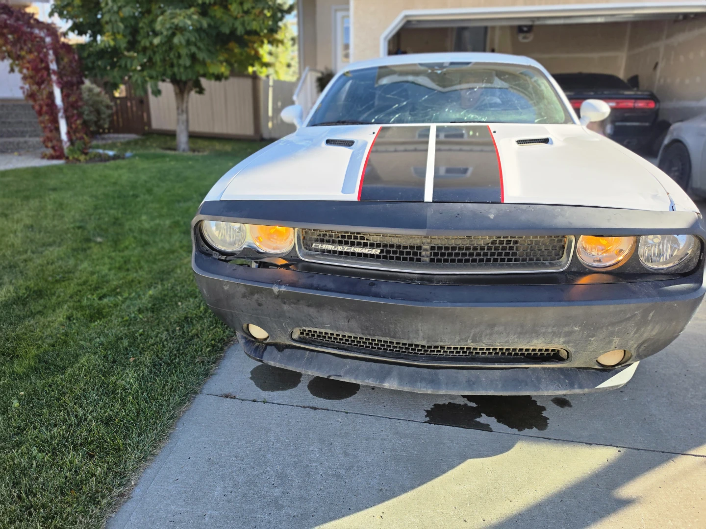 Dodge Challenger - photo 2