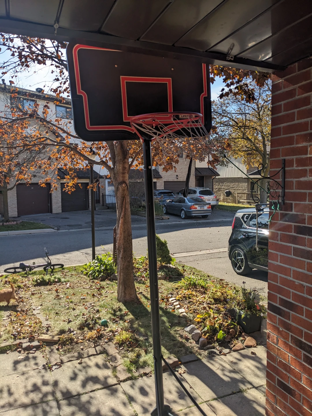 basketball net