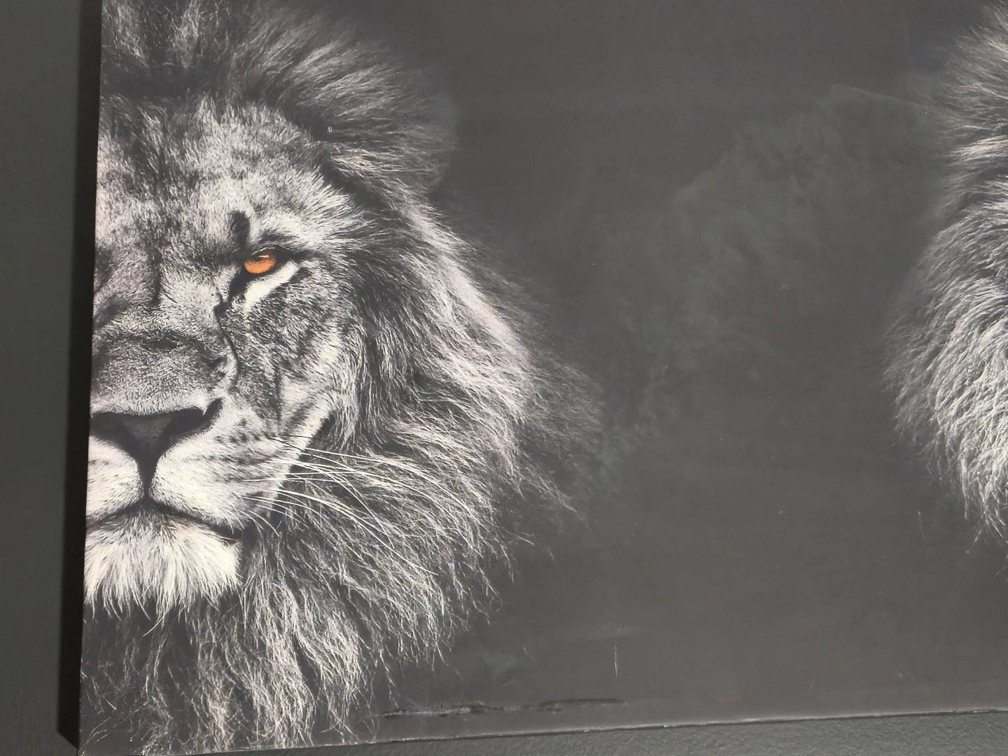 Black & White Double Lion Canvas Wall Art 36" x 24 - photo 3