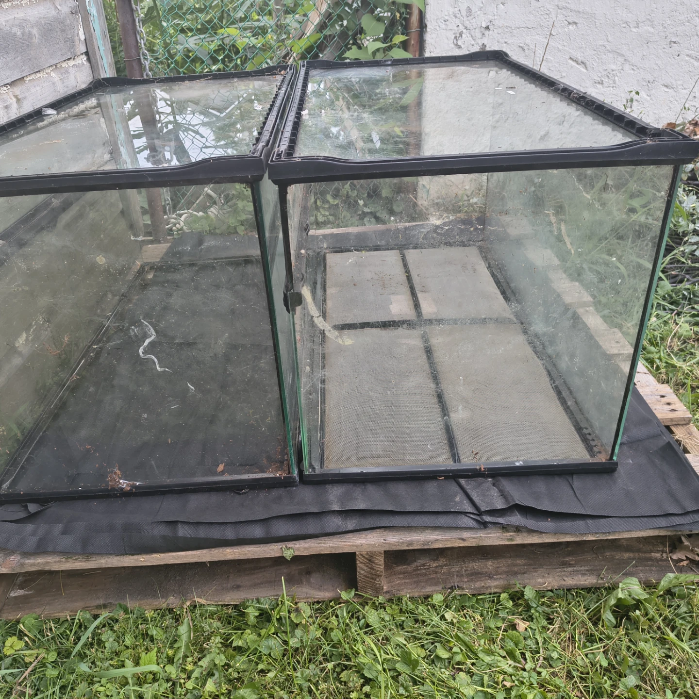 Exo Terra Large Wide Terrariums - photo 5