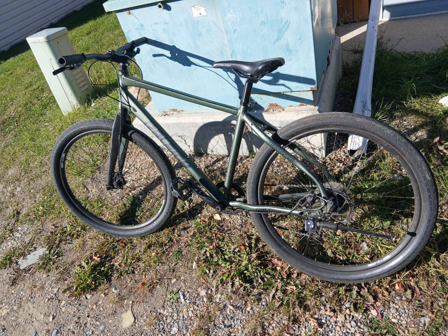 Raleigh Bike