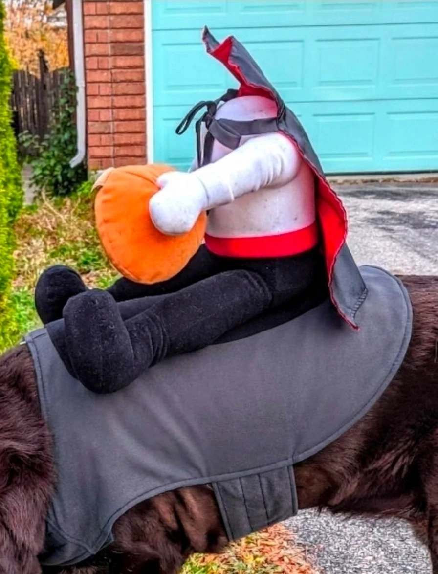 Headless Horseman Dog Halloween Costume (large) - photo 2