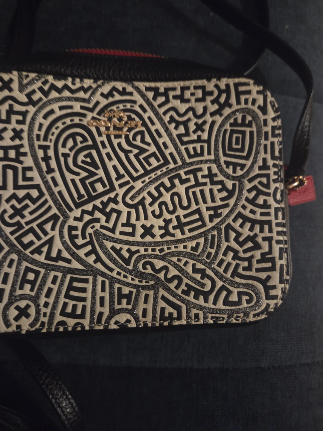 Coach Camera Bag in Graphic Print - photo 3