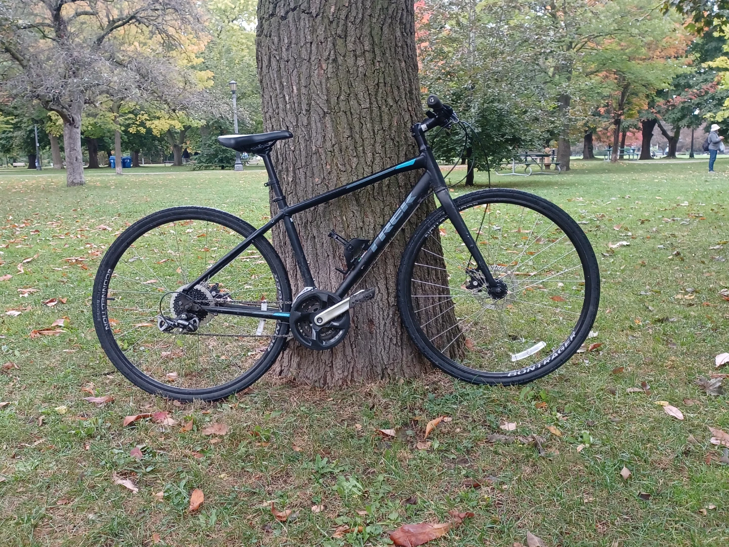 Trek FX 2 Hybrid Bike