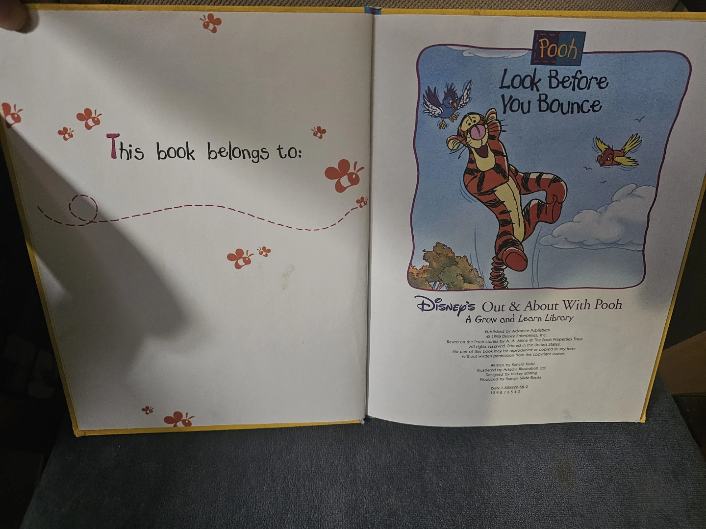 Disney's Out & About With Pooh: Look Before You Bounce - photo 2