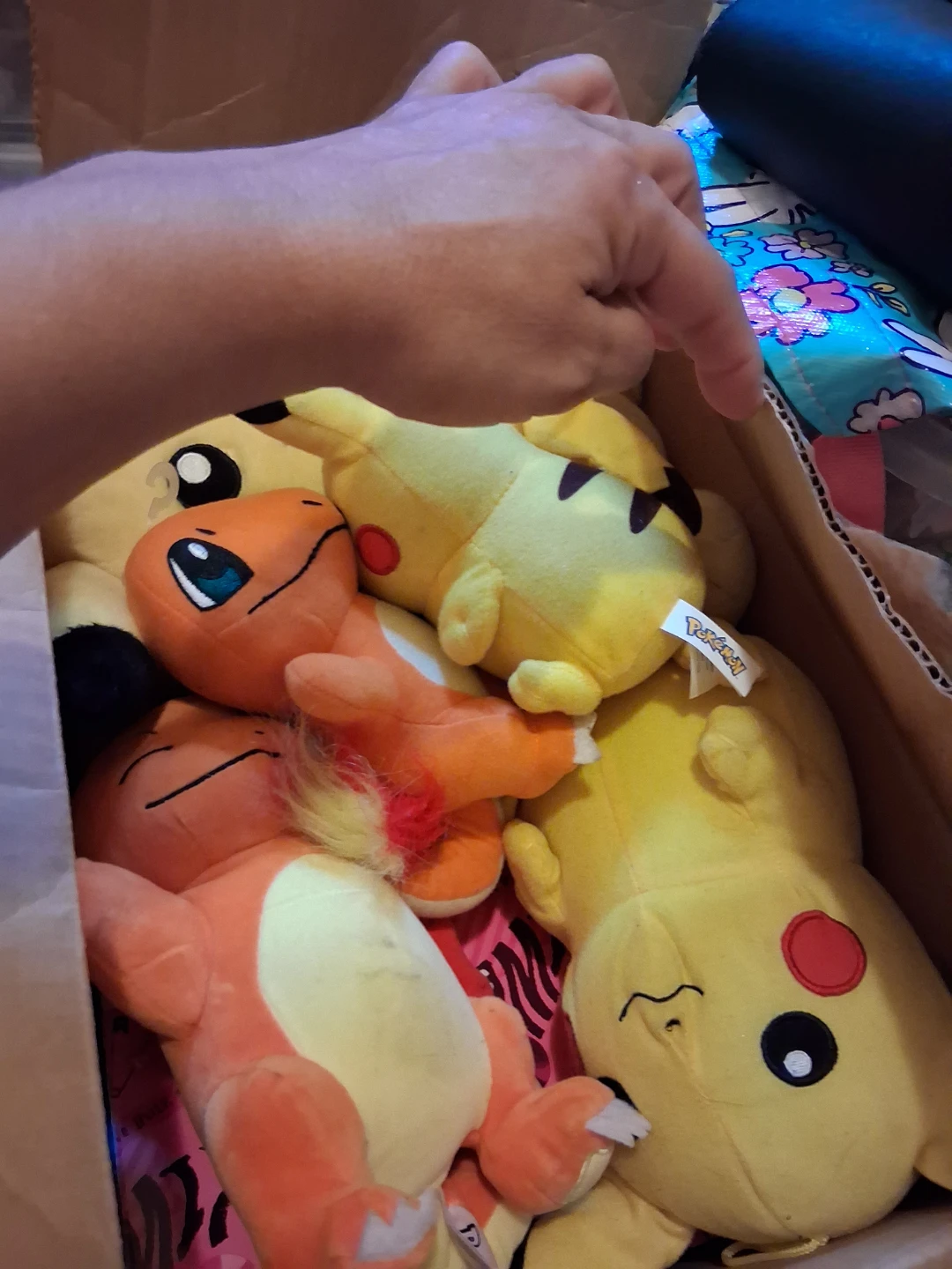 Assorted Pokemon Character Plush Toys