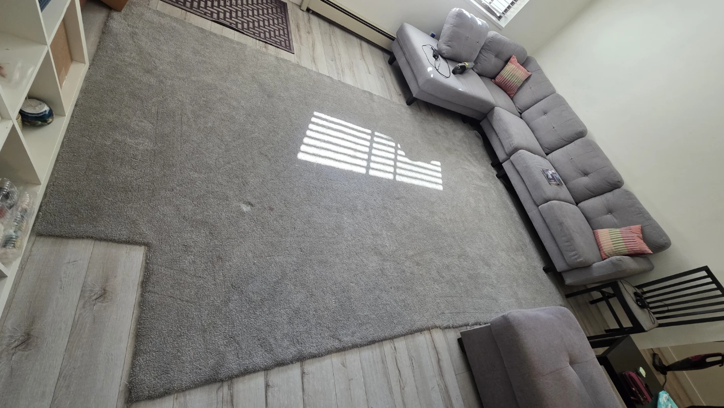 Large Grey Area Rug - photo 2
